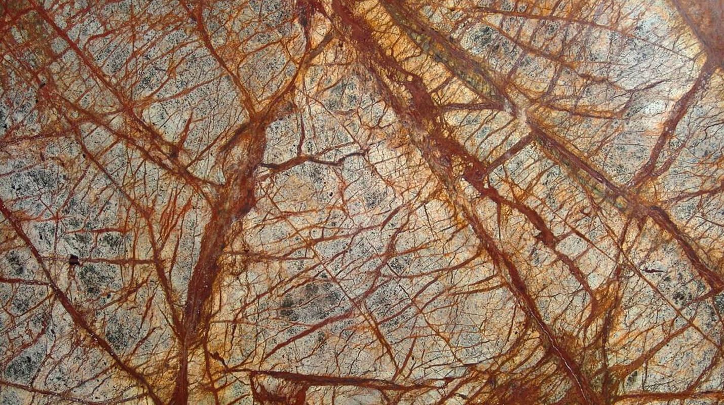 Rainforest Brown